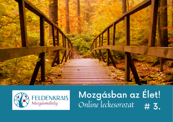 Mozgásban az Élet! #3 Leckecsomag