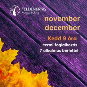KEDD 9:00 óra, november-december, termi órabérlet.